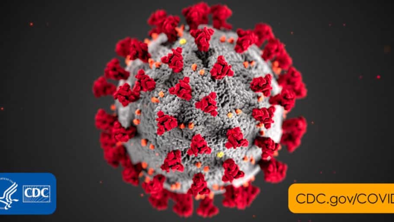 2019-coronavirus (1)