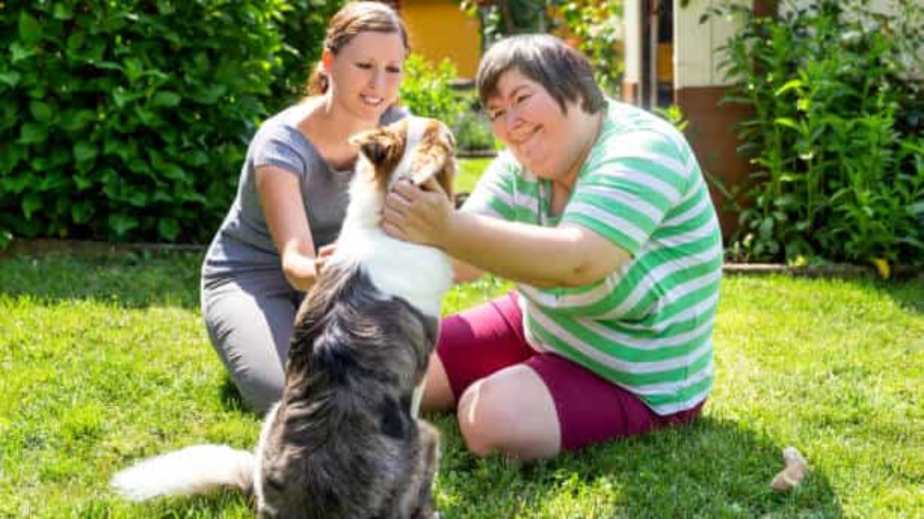 mentally disabled woman with a second woman and a companion dog, concept learning by animal assisted living